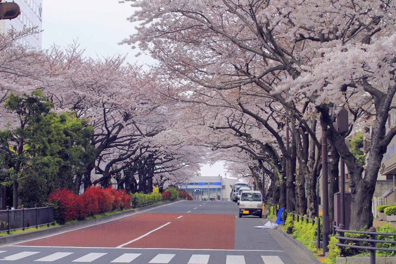 SakuraHDR_2